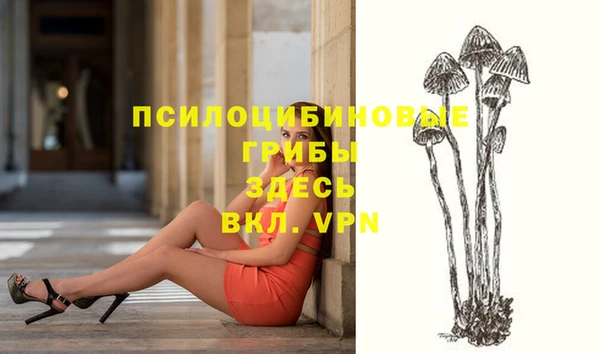 твердый Лабытнанги
