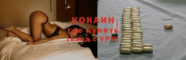 твердый Лабытнанги