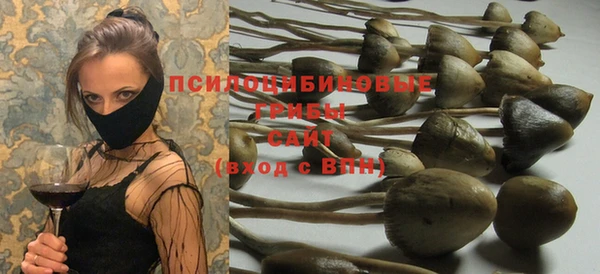 твердый Лабытнанги