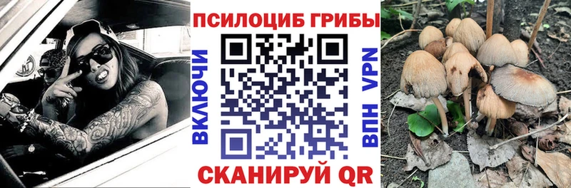 Галлюциногенные грибы Psilocybine cubensis  где можно купить   Брюховецкая 